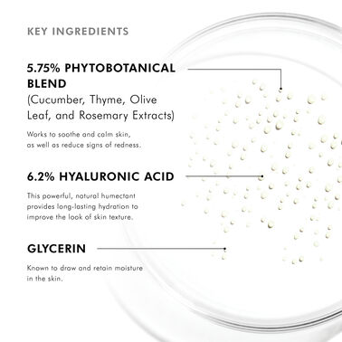 Phyto Corrective Essence Mist - SkinCeuticals | L'Oréal Dermatological Beauty Partner Shop