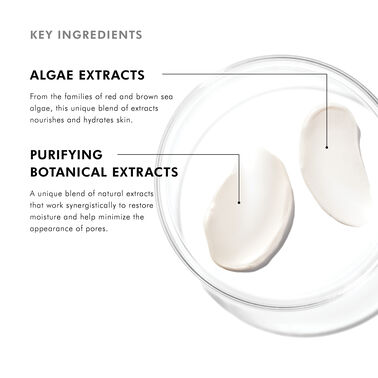 Daily Moisture - Moisturize | L'Oréal Dermatological Beauty Partner Shop